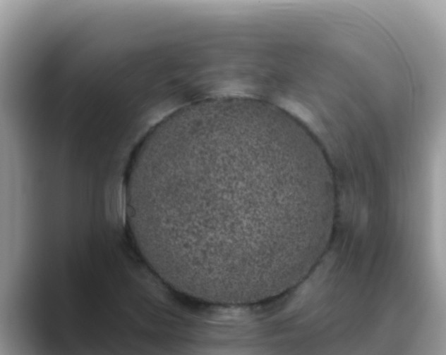 X0000089831219200707051033