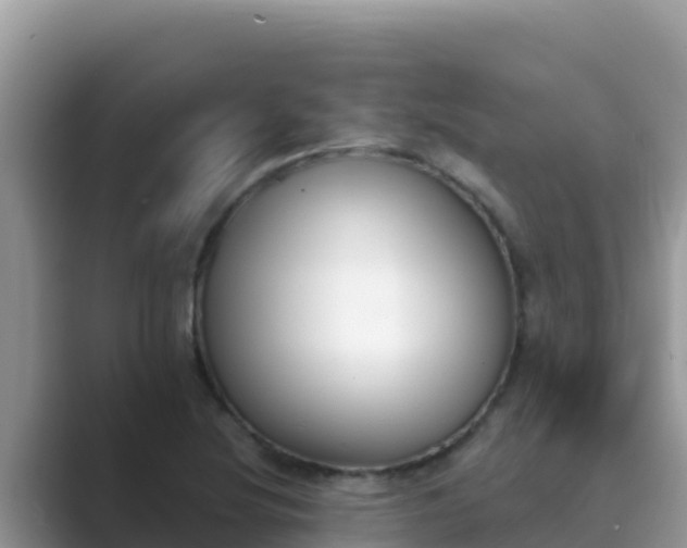 X0000089831220200707051033