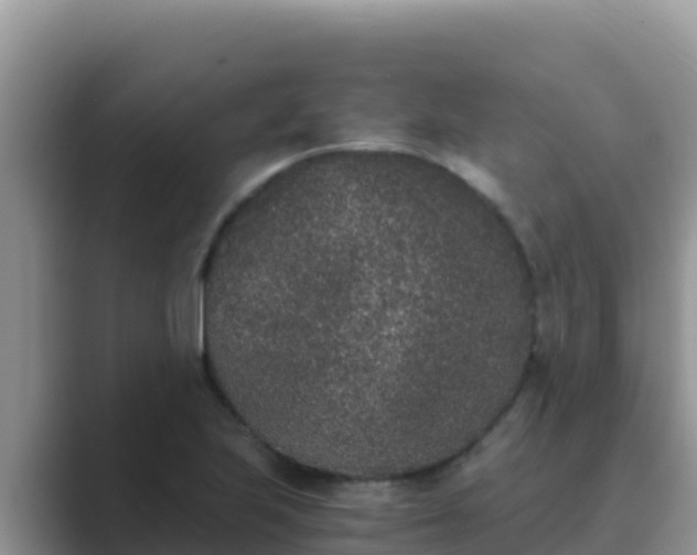 X0000089831223200707051033