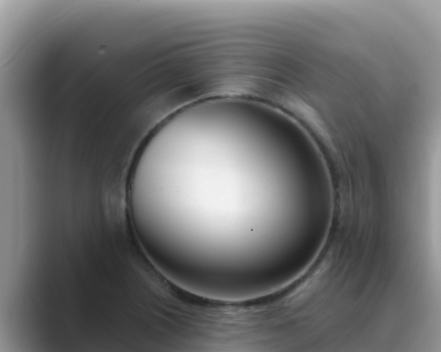 X0000089831226200707051033