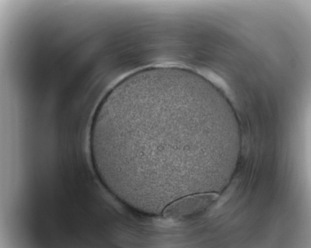 X0000089831231200707051033