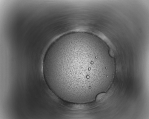 X0000089831232200707051033