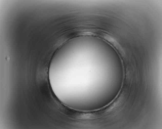 X0000089831233200707051033