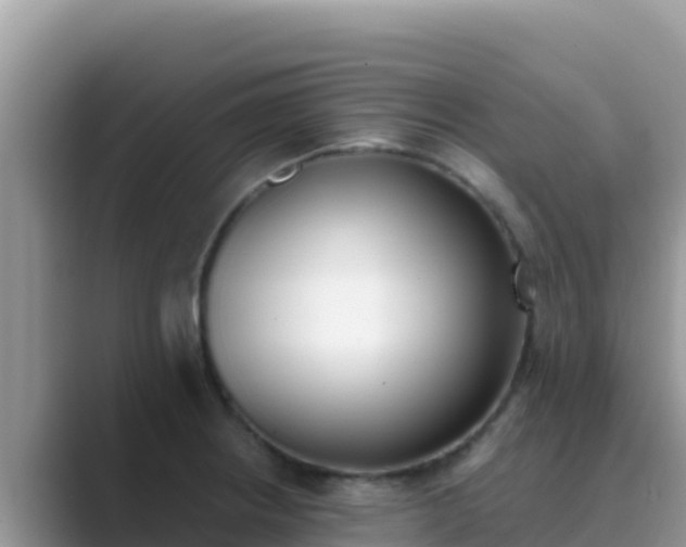 X0000089831234200707051033