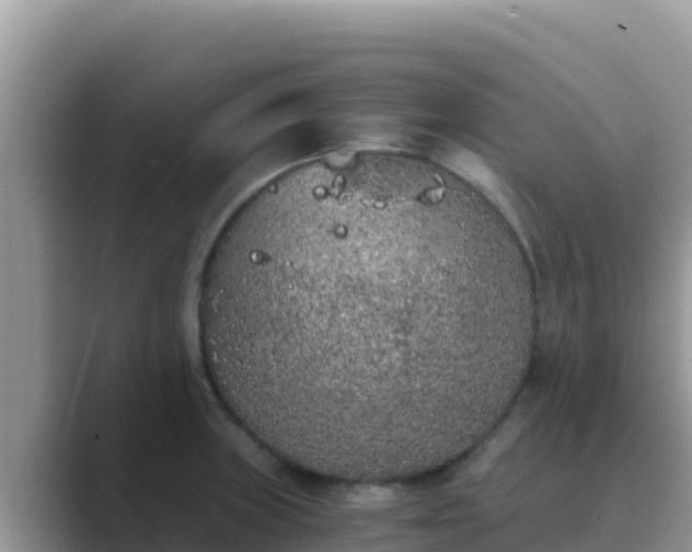 X0000089831235200707051033