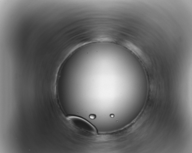 X0000089831236200707051033