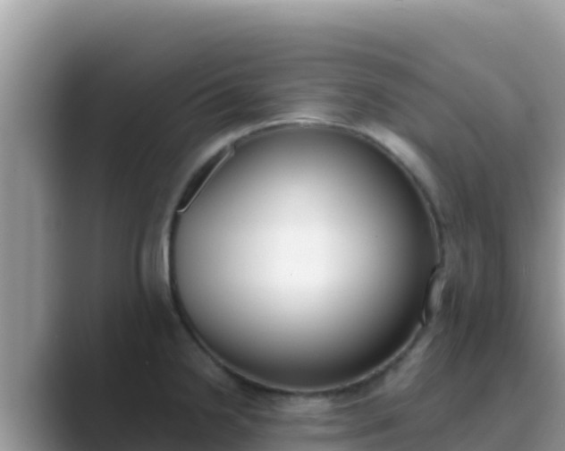 X0000089831238200707051033