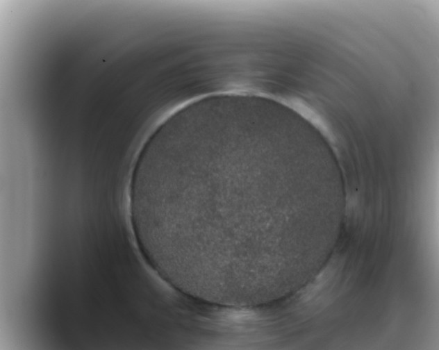 X0000089831239200707051033