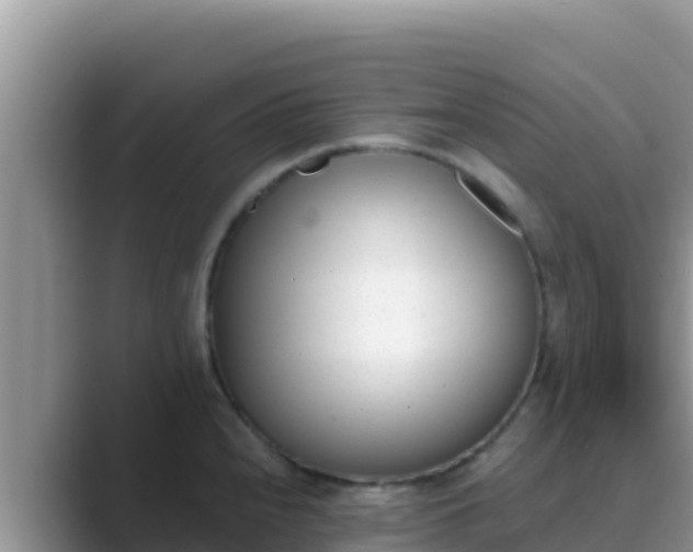 X0000089831240200707051033