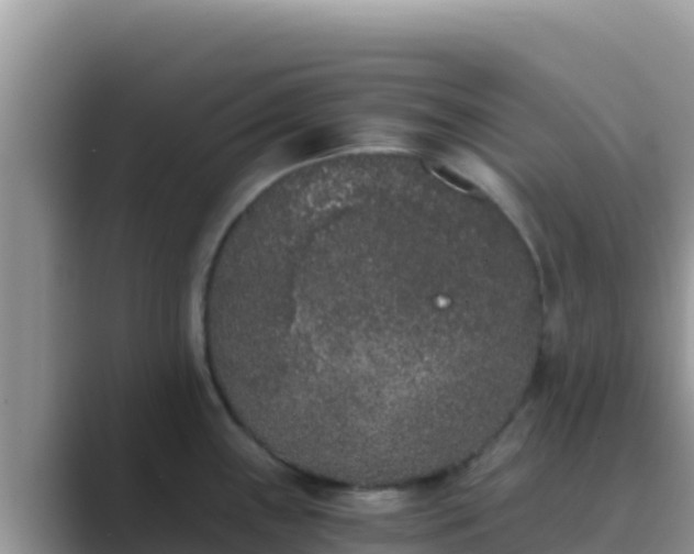 X0000089831243200707051033