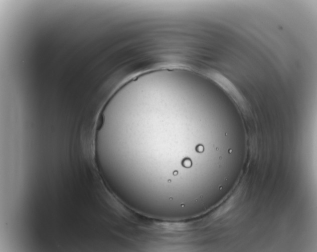 X0000089831244200707051033