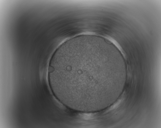 X0000089831245200707051033