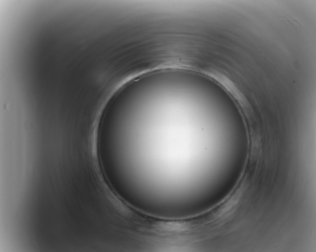 X0000089831246200707051033