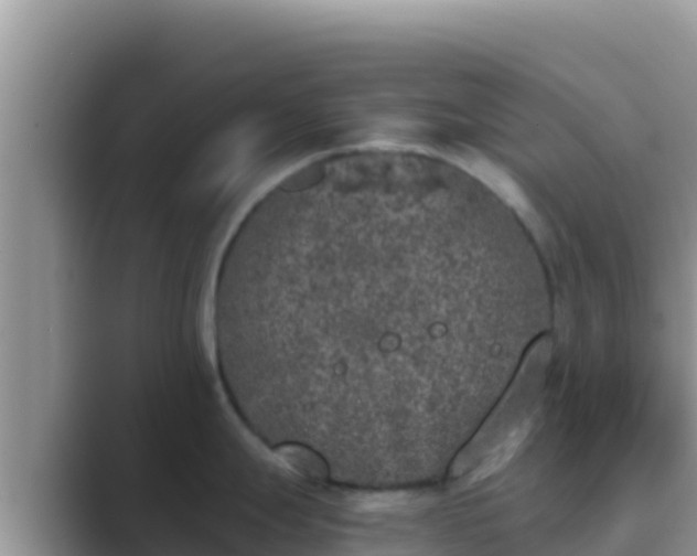 X0000089831247200707051033