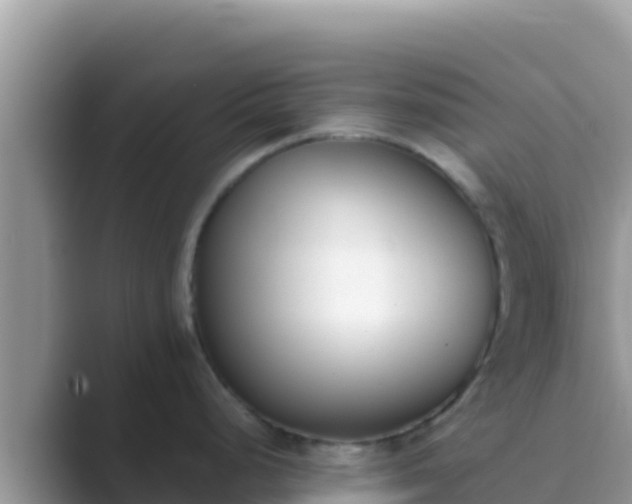 X0000089831248200707051033