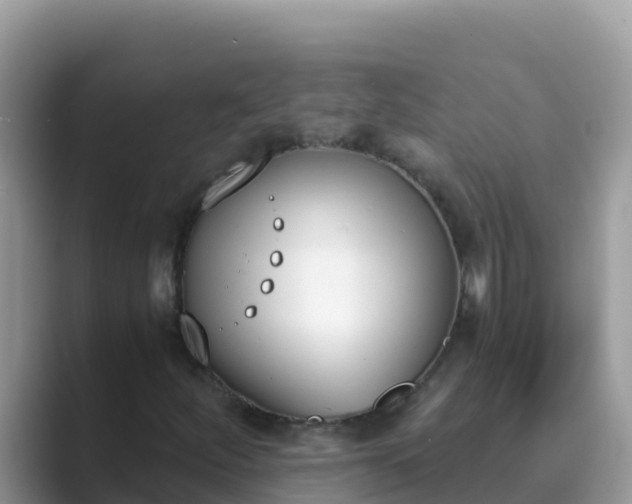 X0000089831252200707051032