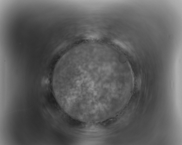 X0000089831254200707051032