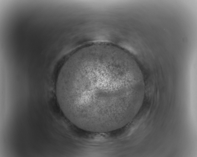 X0000089831255200707051032
