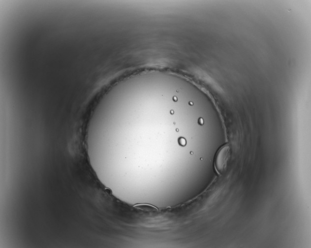 X0000089831256200707051032