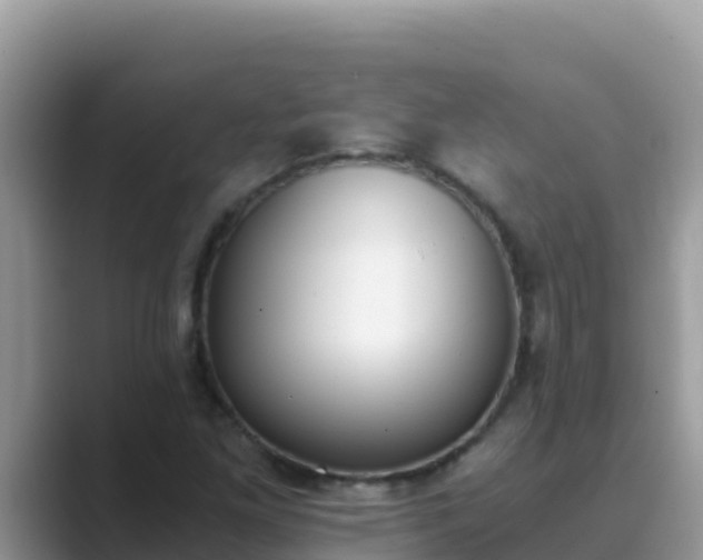 X0000089831261200707051032