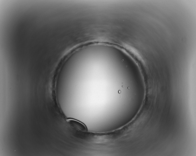 X0000089831264200707051032