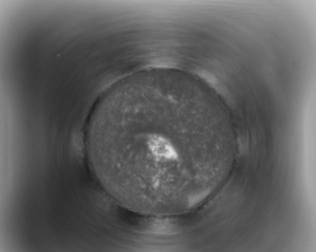 X0000089831266200707051032