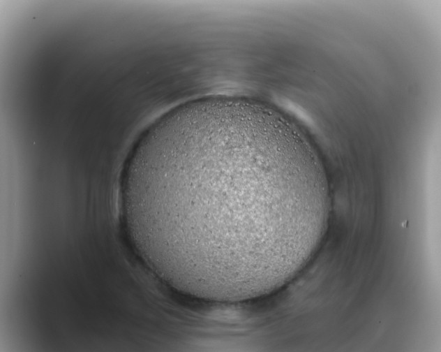 X0000089831267200707051032