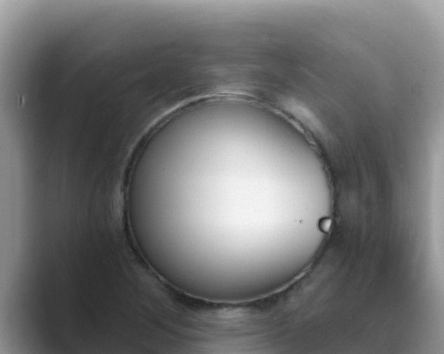 X0000089831268200707051032