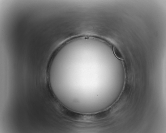 X0000089831271200707051032