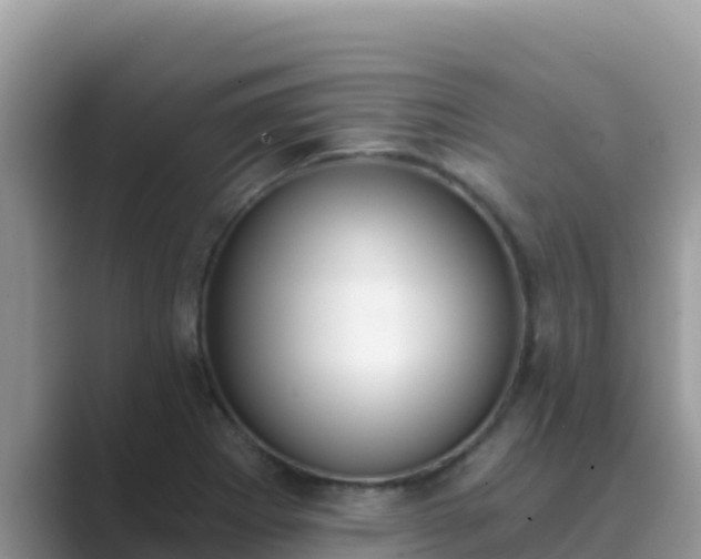 X0000089831273200707051032