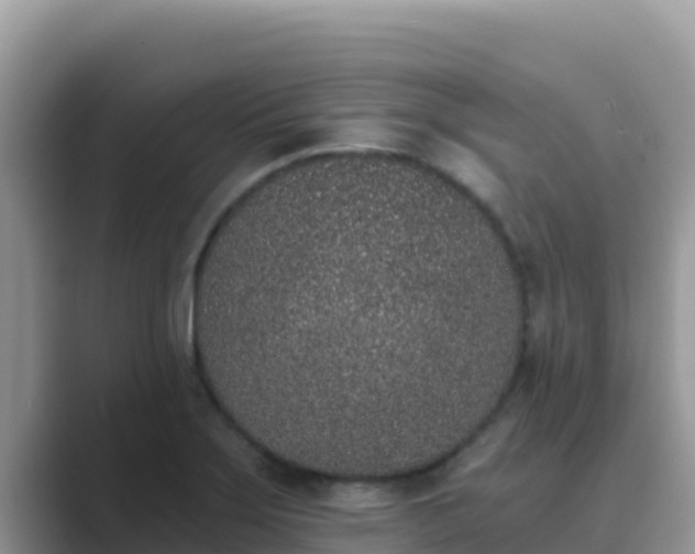 X0000089831275200707051032