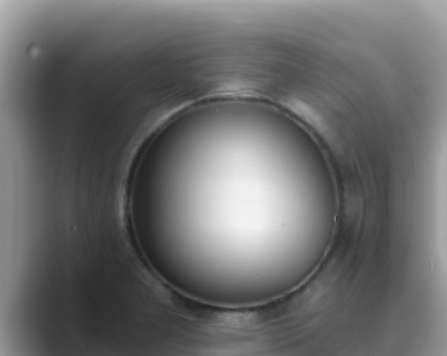 X0000089831277200707051032