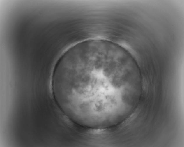 X0000089831278200707051032