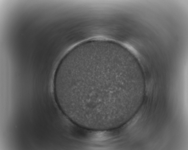 X0000089831279200707051032