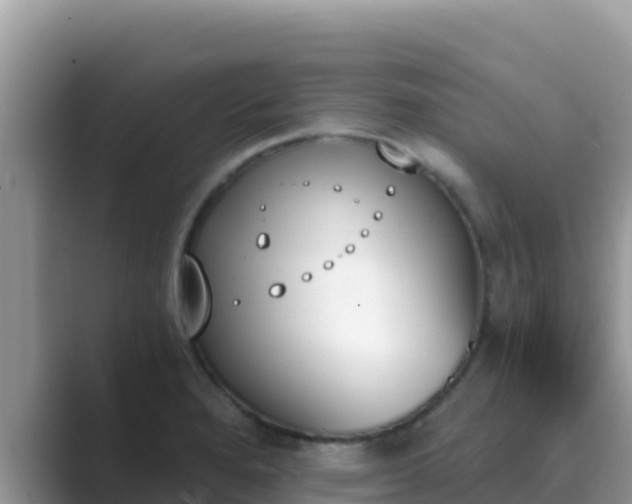 X0000089831280200707051032