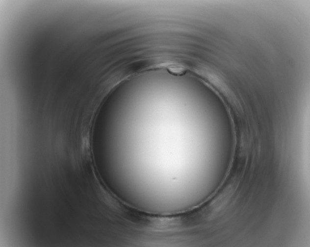 X0000089831281200707051032