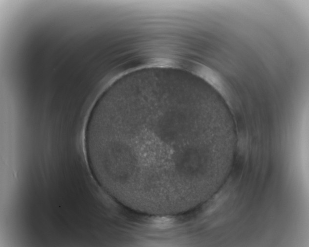 X0000089831283200707051032