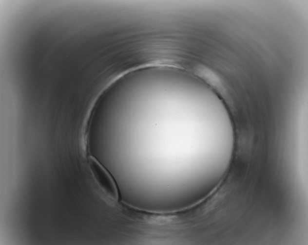 X0000089831284200707051032