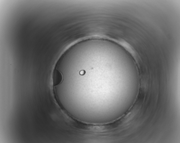 X0000089831287200707051032