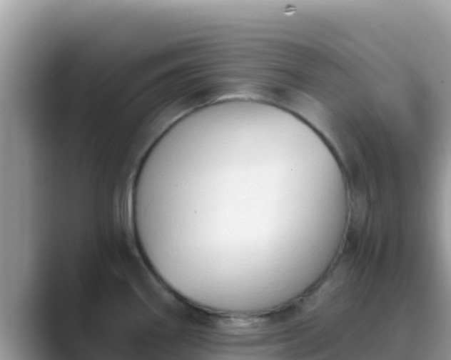 X0000089831290200707051032