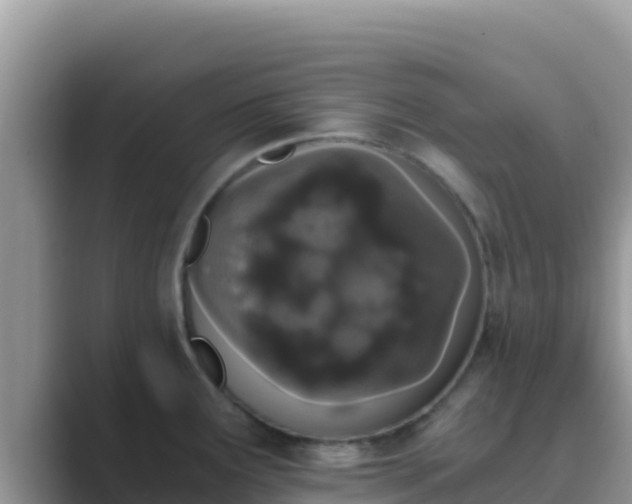 X0000089831291200707051032