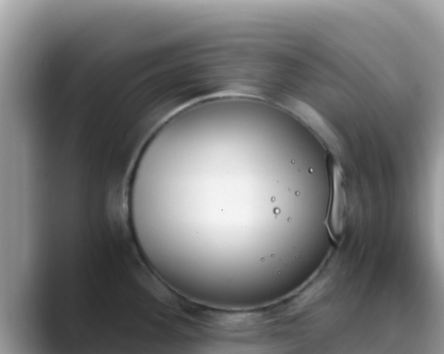 X0000089831292200707051032