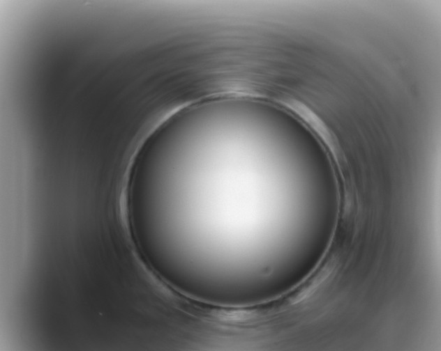 X0000089831293200707051032