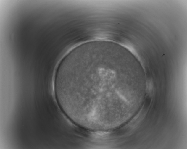 X0000089831294200707051032