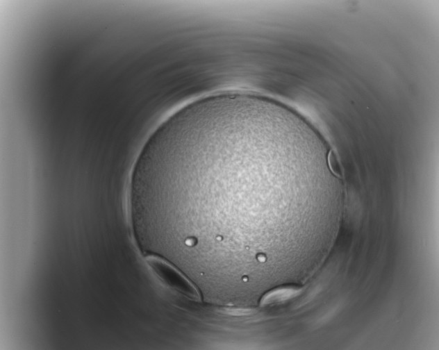 X0000089831295200707051032