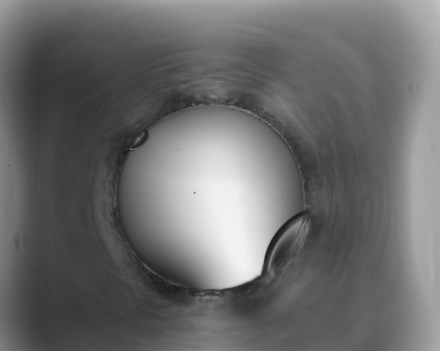 X0000089831297200707051031