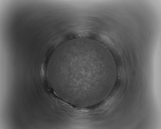 X0000089831298200707051031