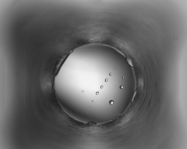 X0000089831300200707051031