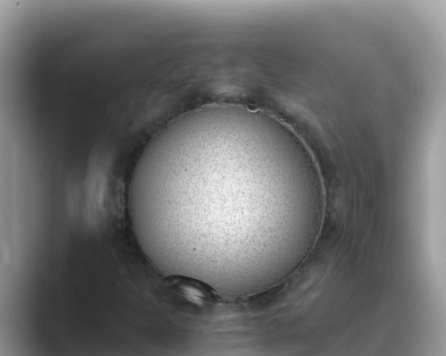 X0000089831301200707051031