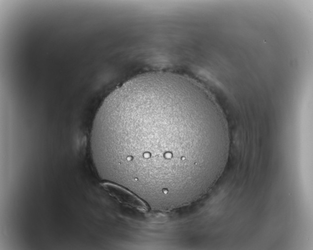 X0000089831302200707051031